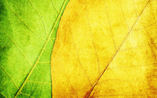542184 (a): :1920x1200